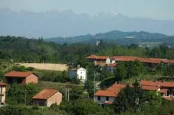 Il Comune di Viale